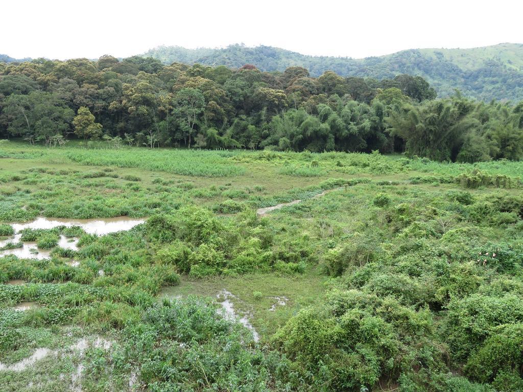 Jungle Palace Homestay Thekkady Exterior photo
