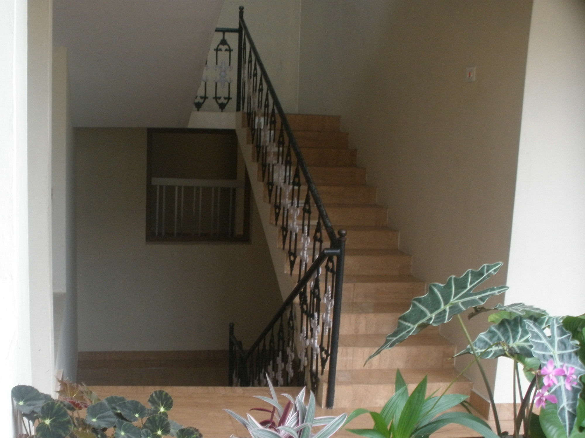 Jungle Palace Homestay Thekkady Exterior photo